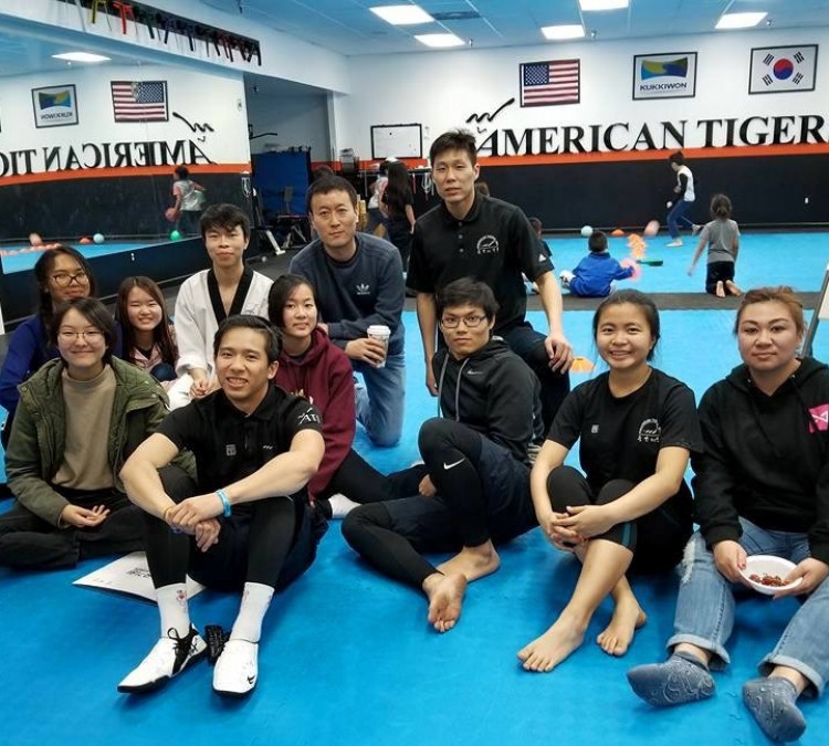 american-tigers-taekwondo-inc-photo